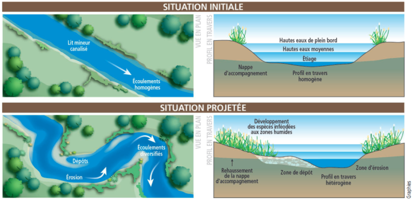 Crues Et Biodiversité - Portail De La Biodiversité En Centre-Val De Loire